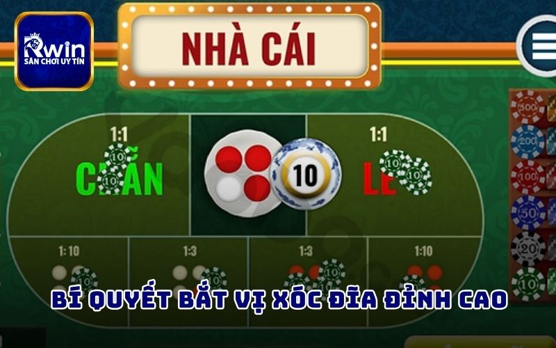 Bí quyết bắt vị xóc đĩa đỉnh cao